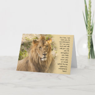 Cartão Lion Get Well Card