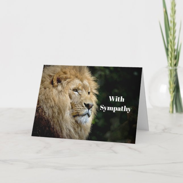 Cartão Lion Profile Wildlife Photo Sympathy (Frente)
