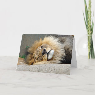 Cartão Lion Wink Greeting Card