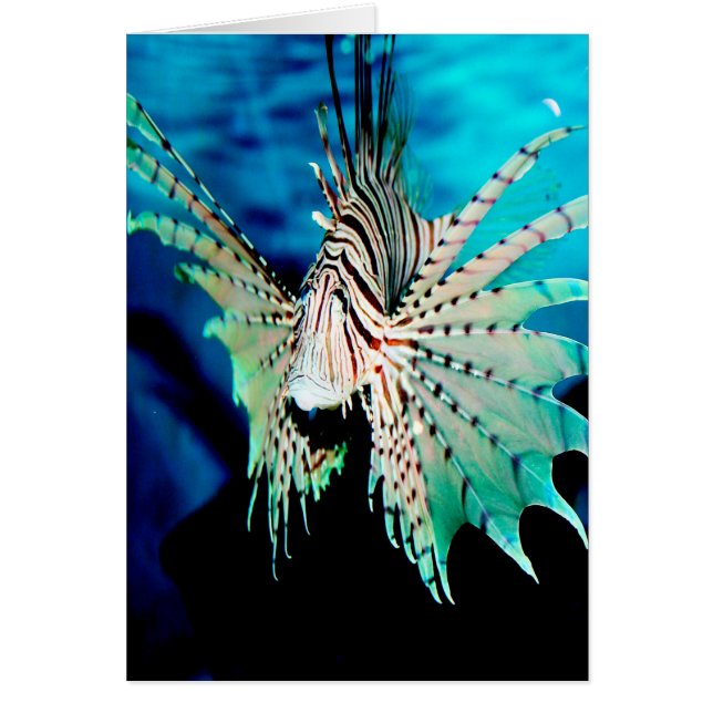 Cartão Lionfish Beauty (Frente)