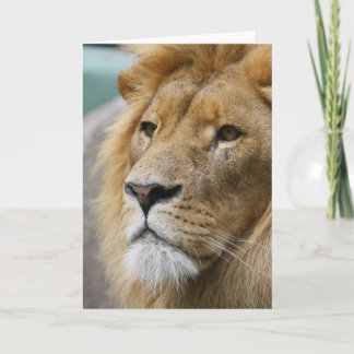 Cartão LionKing