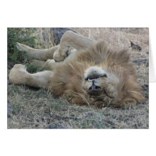 Cartão Lions Club, sono do leão (Masai Mara, Kenya)
