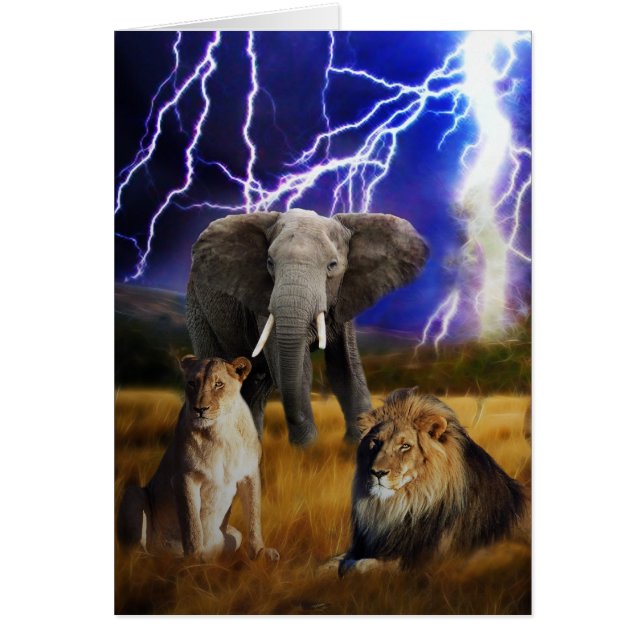 Cartão Lions Elephant África do Sul (Frente)