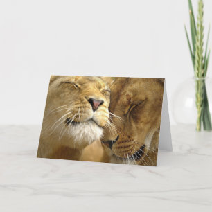 Cartão Lions Greeting Card