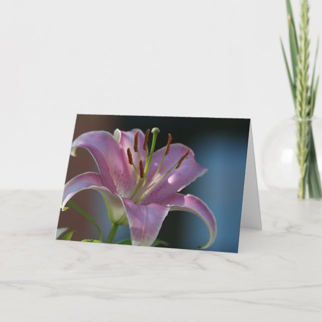 CARTÃO LÍRIO COR-DE-ROSA (Frente)