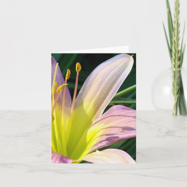 Cartão Lírio do bom dia!  Notecard (Frente)