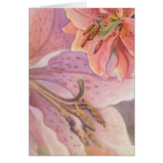 Cartão Lírio do Gazer da estrela