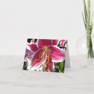 Cartão Lírio rosa floral rosa flor tropical