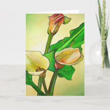 Lírios Calla Contra Ombro Verde