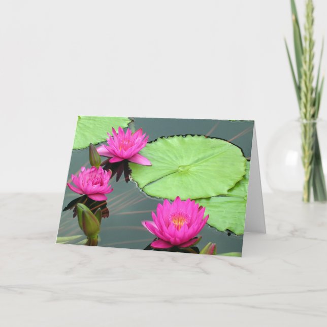Cartão Lírios de água cor-de-rosa (Frente)