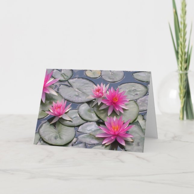 Cartão Lírios De Água Rosa (Frente)