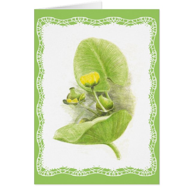 Cartão Lírios de flores (Frente)