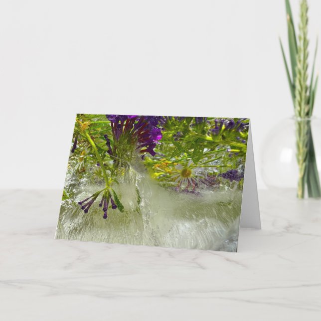 Cartão Lírios Forçados, (Frente)