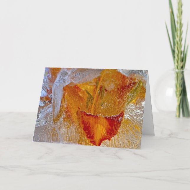 Cartão Lírios Forçados, (Frente)