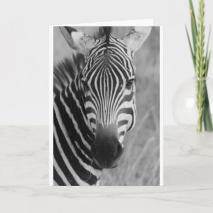 Cartão Listras Elegantes Africanas Fofas Safari de Zebra