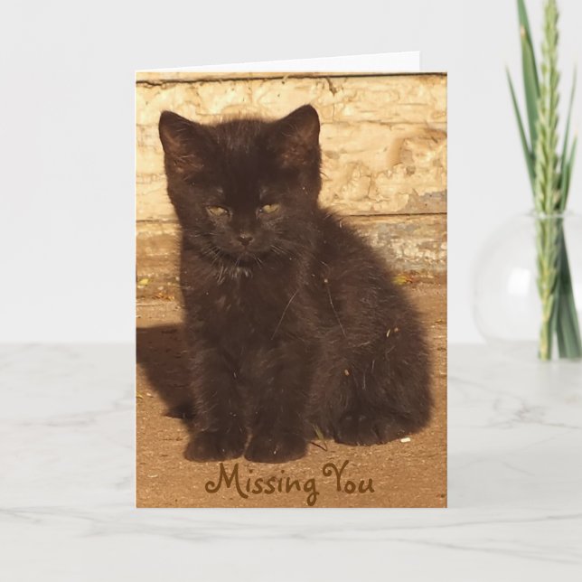 Cartão Little Black Kitten Misse You Card *Personalizável (Frente)