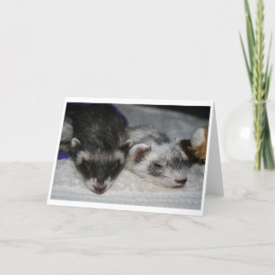 Cartão Little Dooks Sleepers Greetings Cards
