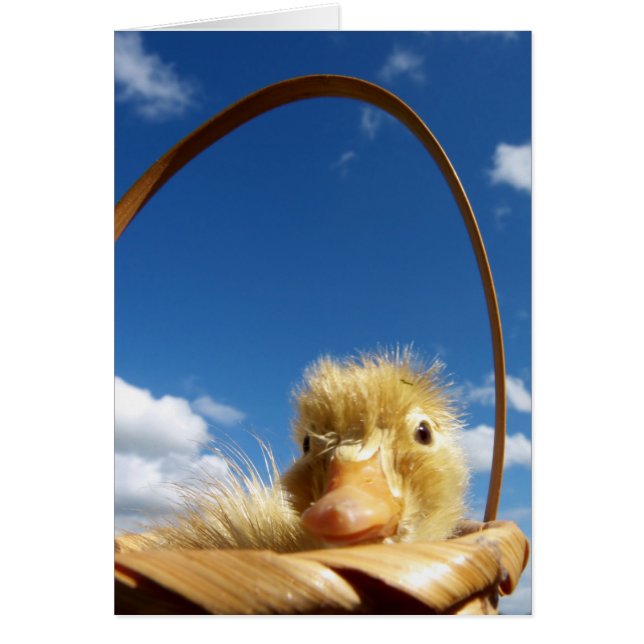 Cartão little duckling (Frente)