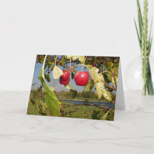 Cartão Little Red Apples greeting card