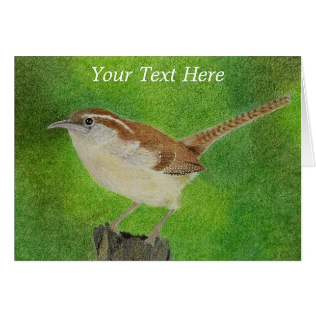 Cartão Little Wren (Frente Horizontal)