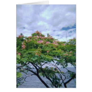 Cartão LittleBayParkmimosatree 001