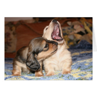 Cartão Live, Ria, Amor