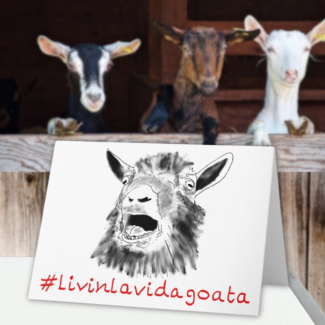 Cartão Livin La Vida Goata, Engraçada, Grita De Goat Anim (Funny screaming goat quote livin la Vida goata fun greetings card)