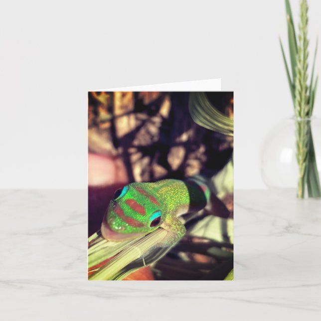 Cartão lizard congratulations notecard (Frente)