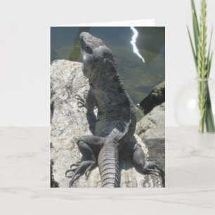 Cartão Lizard Rock Greeting Card