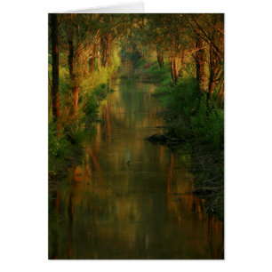 Cartão Ljubljana amarra