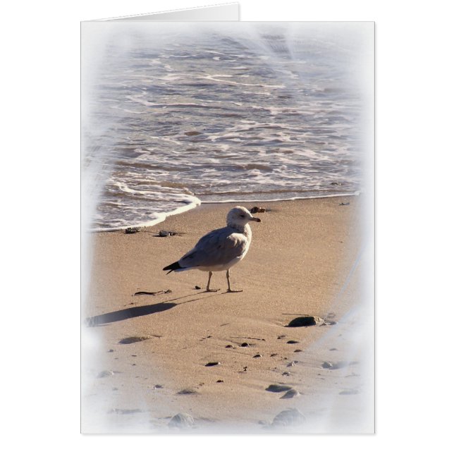 Cartão Lkes Walks na praia... (Frente)