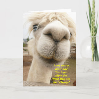 Cartão Llama Funny Birthday Card
