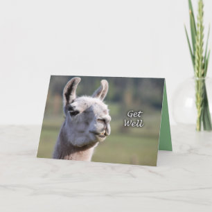 Cartão Llama se dê bem  Consiga Bem Em Breve Llama