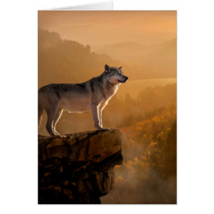 Cartão lobo-Cinza em pé sobre uma pedra na floresta