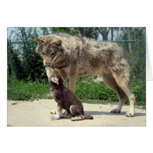 Cartão lobo com filhote de cachorro