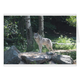 Cartão Lobo de madeira