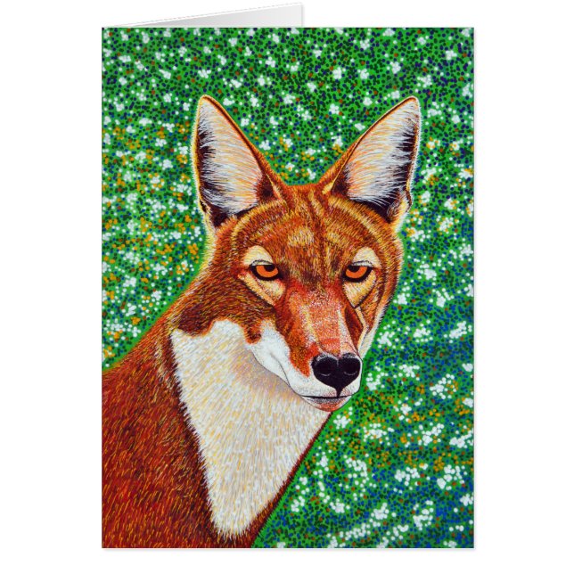 Cartão Lobo etíope (Frente)