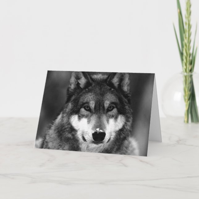Cartão Lobo preto & branco (Frente)