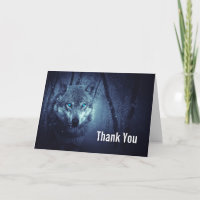 Lobo Selvagem com Belos Olhos Azuis Obrigado