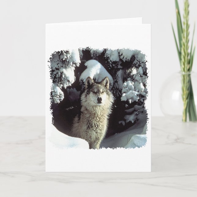 Cartão Lobos do lobo da neve (Frente)