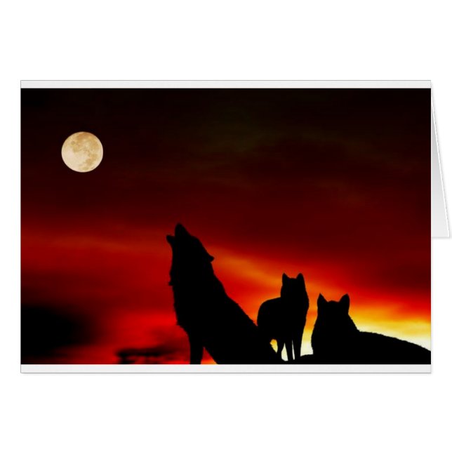 Cartão Lobos Sunset (Frente Horizontal)