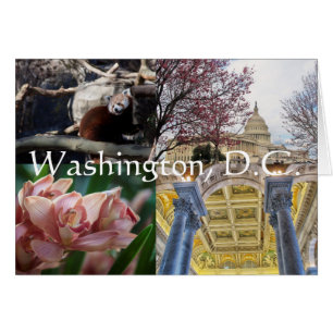 Cartão Locais de Washington, D.C.