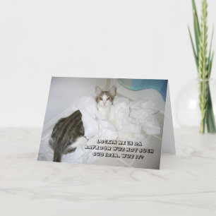 Cartão LOL Cat card