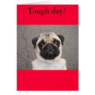 Cartão Lola sente sua dor