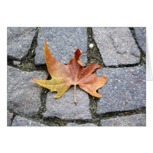 Cartão London Plane Tree Leaf