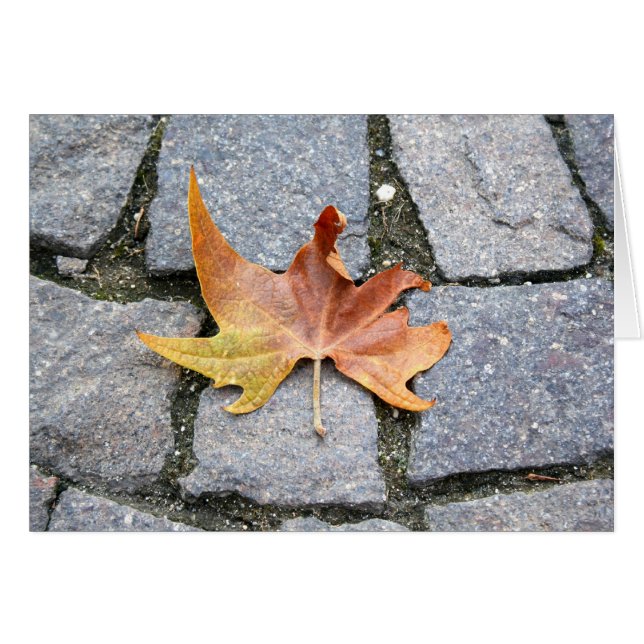 Cartão London Plane Tree Leaf (Frente Horizontal)