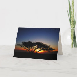 Cartão Lone Acacia no Fiery Red Sunrise, Vazio