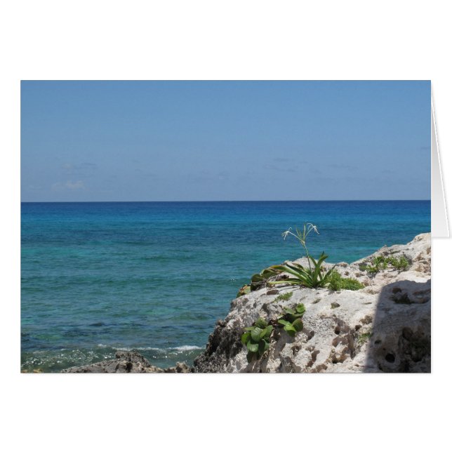 Cartão Lone Lily perto do mar (Frente Horizontal)