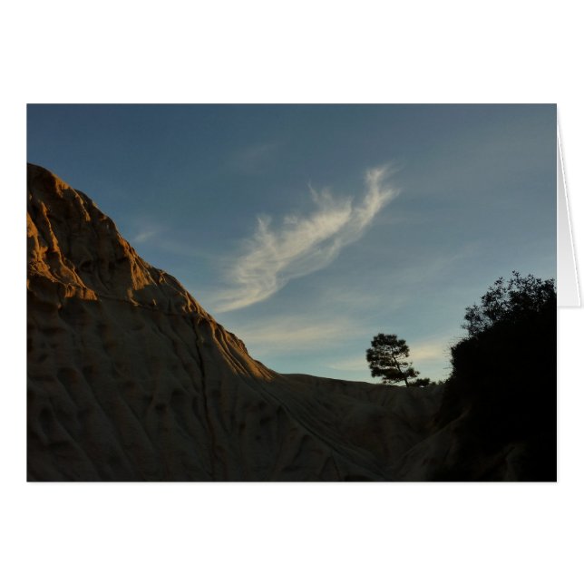 Cartão Lone Torrey Pine California Sunset Landscape (Frente Horizontal)