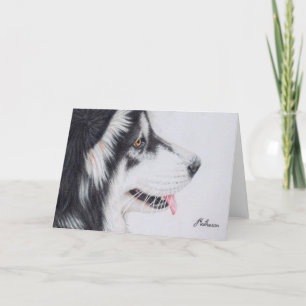 Cartão Long Haired Alaskan Malamute